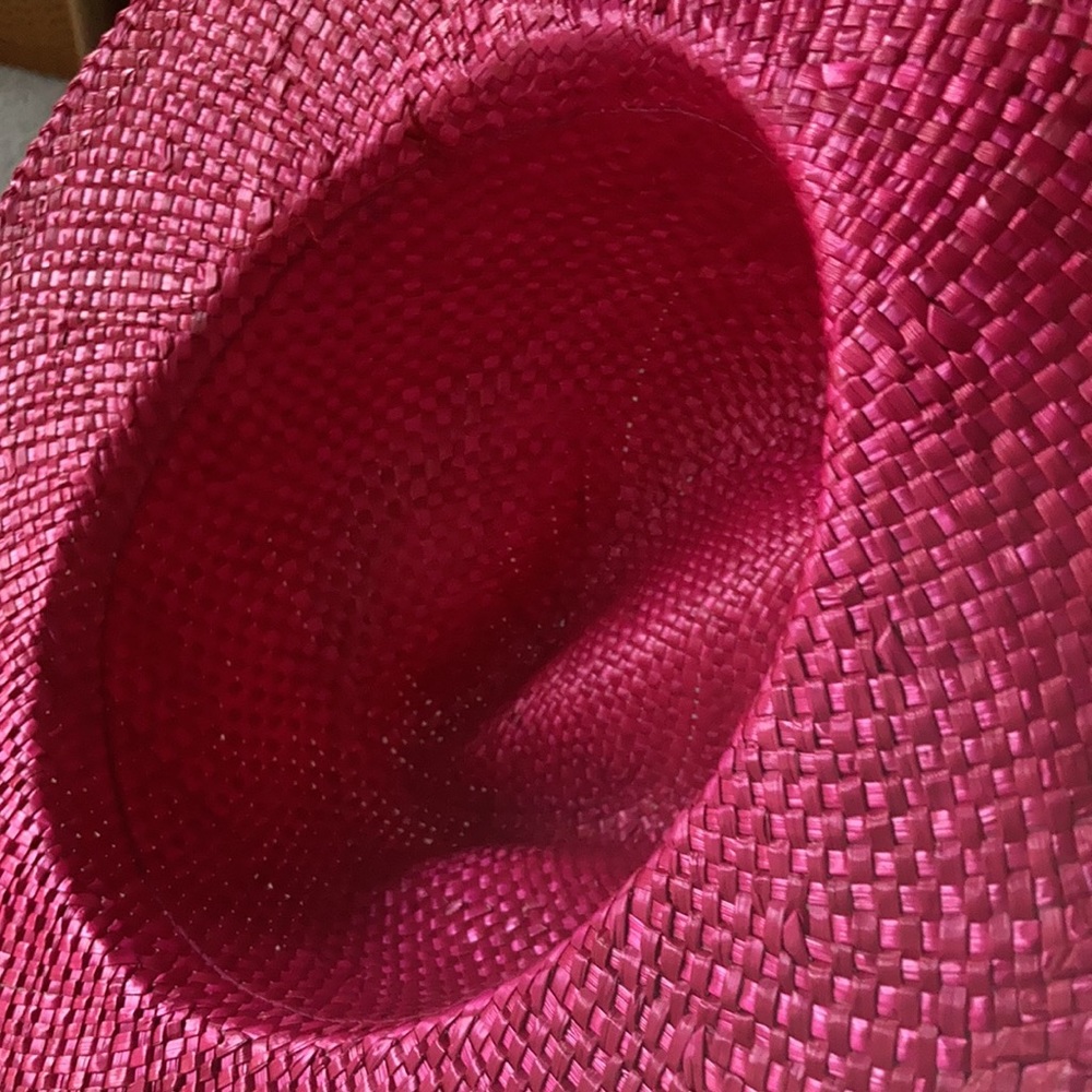 Raffia Hat Large Brim - image 5